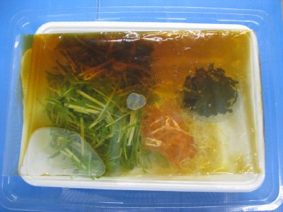 黄金カレイの煮つけ　２人前