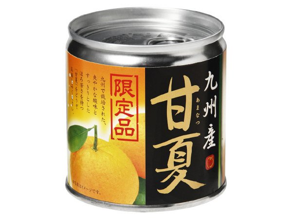 甘夏　九州産