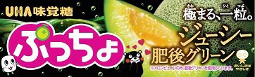 ぷっちょスティック　ジューシー肥後グリーン