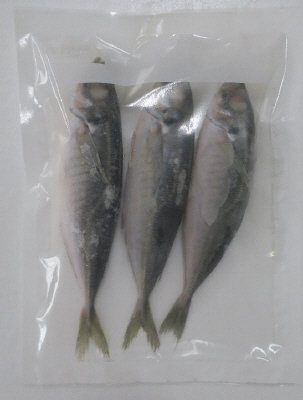 国産真あじ(えら・内臓取)