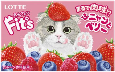 Ｆｉｔ’ｓ＜ふニャンとベリー＞