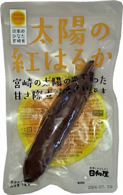 太陽の紅はるか