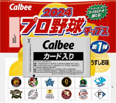 ２０２４プロ野球チップス
