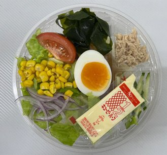 国産野菜のサラダうどん