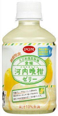 えひめ逸品柑橘　愛媛河内晩柑ゼリー