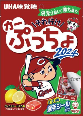 それ行けカーぷっちょ２０２４