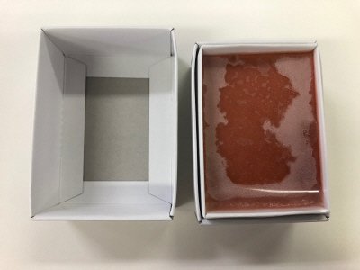 越前「大黒屋」流水くずながし（いちご）