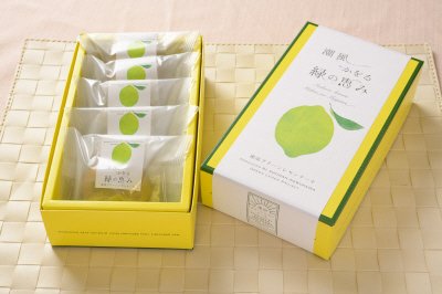 潮風かをる緑の恵み～湘南グリーンレモンケーキ～