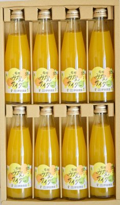 果汁50%入　有田みかんサイダー　8本ギフト