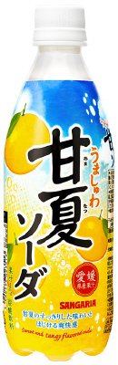 うましゅわ甘夏ソーダ　５００ｍｌＰＥＴ