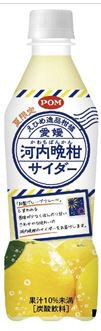 えひめ逸品柑橘　愛媛河内晩柑サイダー　（夏限定）