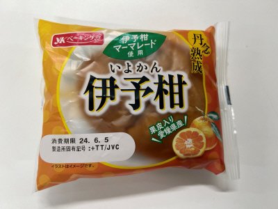 丹念熟成　伊予柑