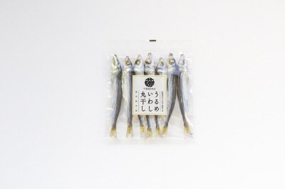 ウルメイワシ上乾