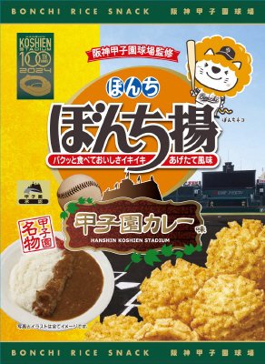 ５０ｇぼんち揚甲子園カレー味