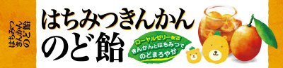 はちみつきんかんのど飴スティック
