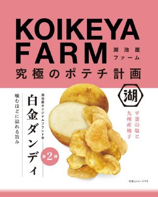 ＫＯＩＫＥＹＡＦＡＲＭ白金ダンディ平釜の塩と九州産柚子