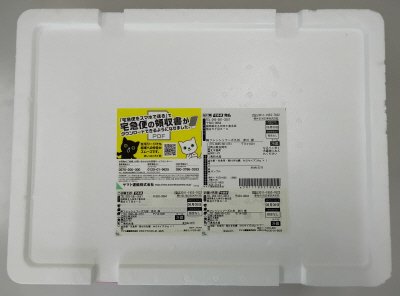 北木島喜多嬉かき（ＭＳサイズ）（殻付）