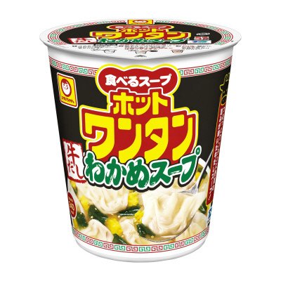 ホットワンタン　牛だしわかめスープ