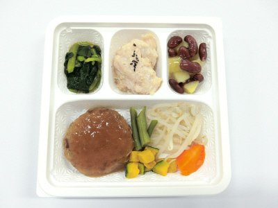 【塩分＆カロリーケア】B-5 和風ハンバーグ おろしソース