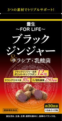 豊生ブラックジンジャー＆サラシア・乳酸菌