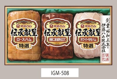 伝承献呈ギフト　ＩＧＭ－５０８
