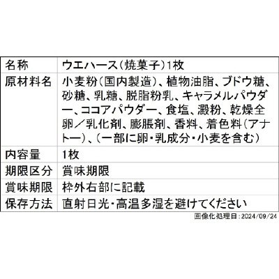 プリキュアカードウエハース１０