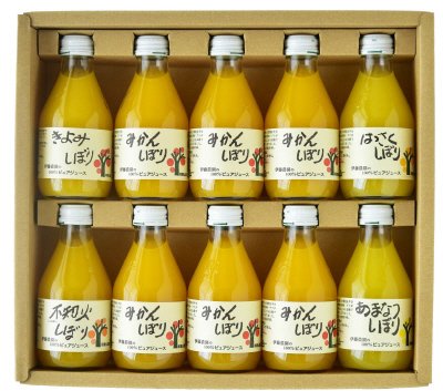 100%ピュアジュース10本ギフトセット