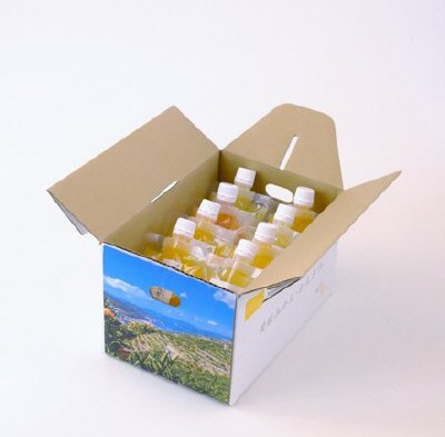 みかん寒天ゼリーオールスターセット