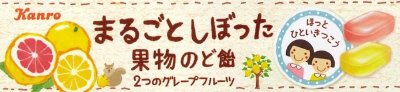 まるごとしぼった果物のど飴2つのグレフル味