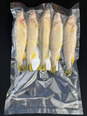 岐阜育ち子持ち鮎