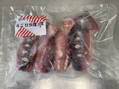 ミニいかぽっぽ（不揃い）