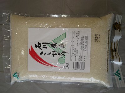 石川県産農協こしひかり