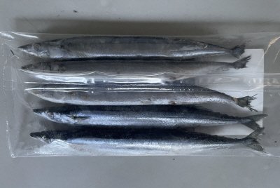 北海道産冷凍さんま