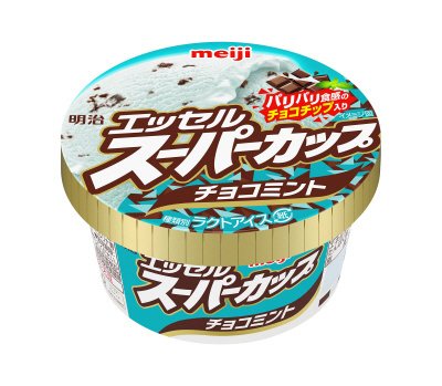 エッセルスーパーカップチョコミント