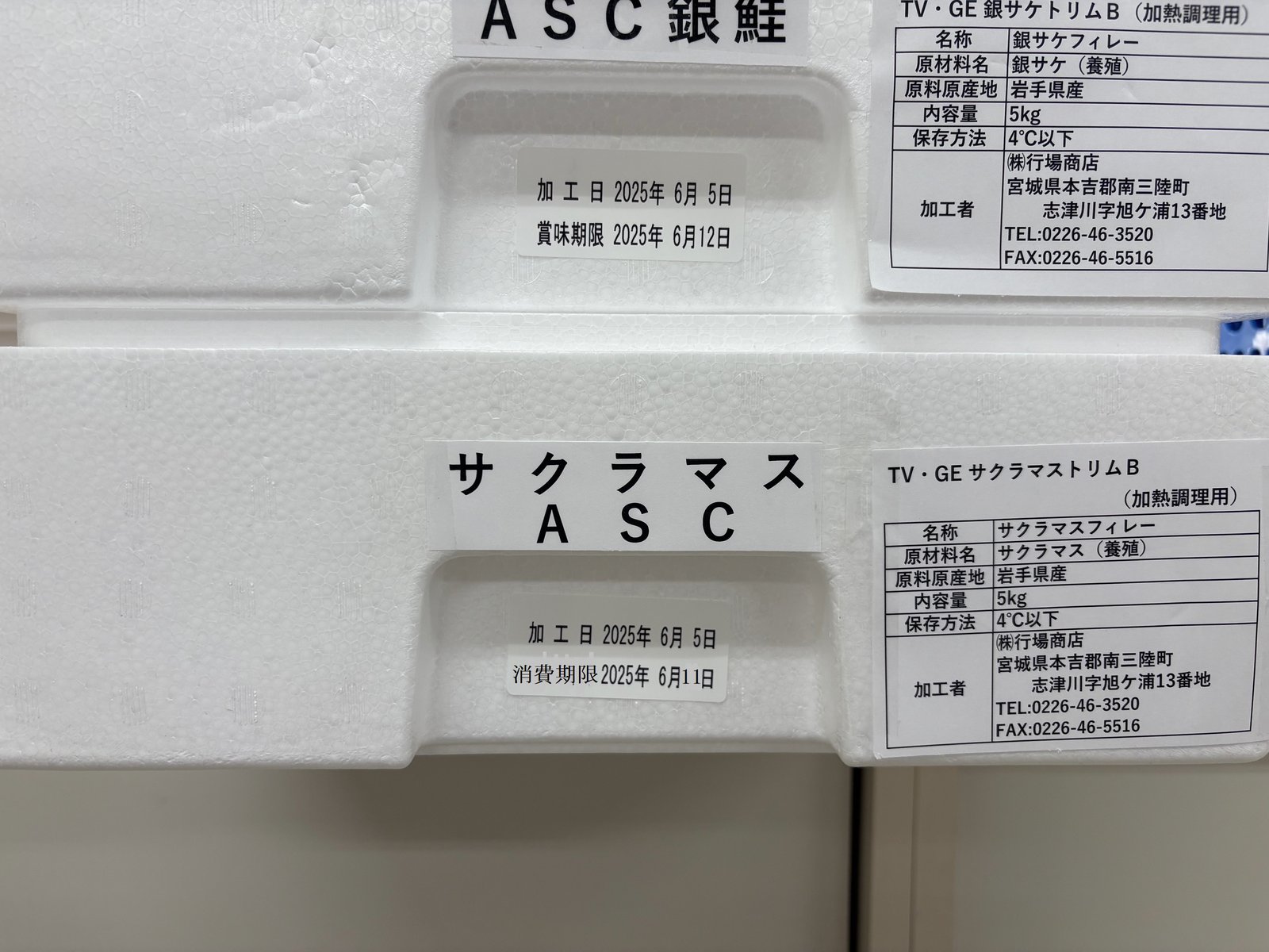 TV・GE　ASC岩手県産　養殖サクラマストリムB