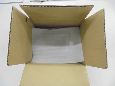 玄界灘産天然アカモク