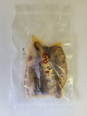 瀬戸内海産このしろの炙り三杯酢漬け