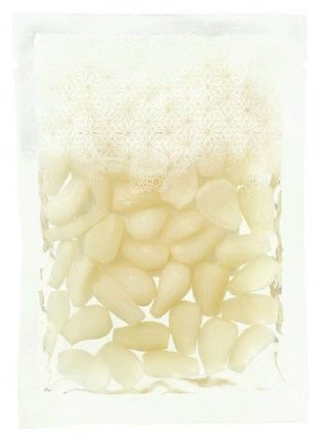 国産らっきょう