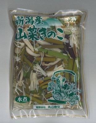 新潟産山菜きのこ