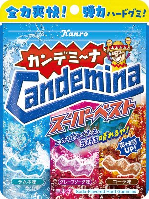 カンデミーナグミスーパーベスト
