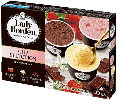 レディーボーデン　カップセレクション