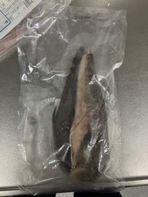 北海道産真ほっけ干し