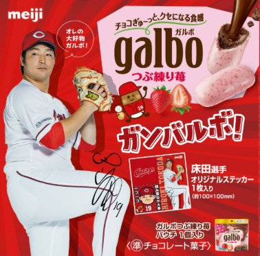 ガルボ苺パウチ床田広島カープ２５０９