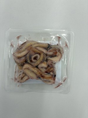 からし酢味噌で味わういかリング（生食用）