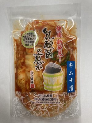 乳酸菌の恵み　白菜キムチ
