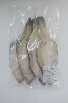 山陰産エテカレイ一汐干