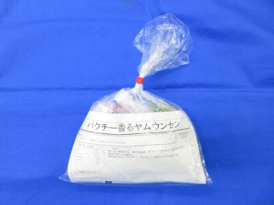 パクチー香るヤムウンセン（タイ風春雨サラダ）