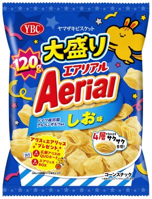 エアリアル　ドイツ産岩塩アルペンザルツ使用　しお味（大盛り）