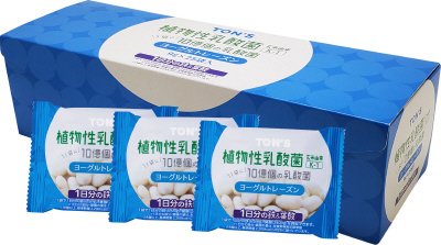 ヨーグルトレーズンプレーン　９ｇ×２５袋