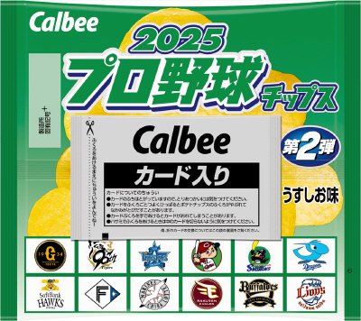 ２０２５プロ野球チップス